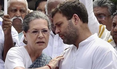  शिकस्त के बाद भी आखिर क्या करें राजेनता 