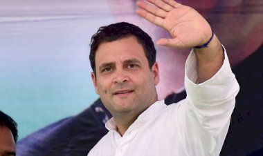 राहुल गांधी हुए सक्रिय, तीन चुनावी राज्यों के नेताओं को घर बुलाया, चुनावी रणनीति पर करेंगे चर्चा