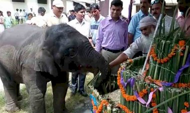 कॉर्बेट टाइगर रिजर्व प्रशासन ने  पेश की प्रेम और मानवता की मिसाल, धूमधाम से मनाया नन्हे सावक ‘सावन’ का जन्मदिन