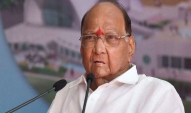 जानिए, महाराष्ट्र विधानसभा चुनाव से पहले क्या कह गए एनसीपी अध्यक्ष शरद पवार?