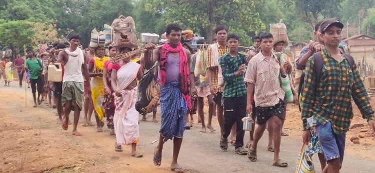 इन वजहों से आदिवासी डा. आंबेडकर को अपना नेता नहीं मानते हैं -ग्लैडसन डुंगडुंग